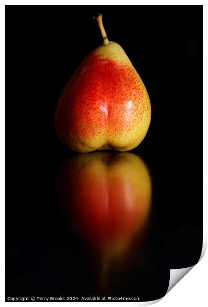 Blushing Pear Reflection Print by Terry Brooks