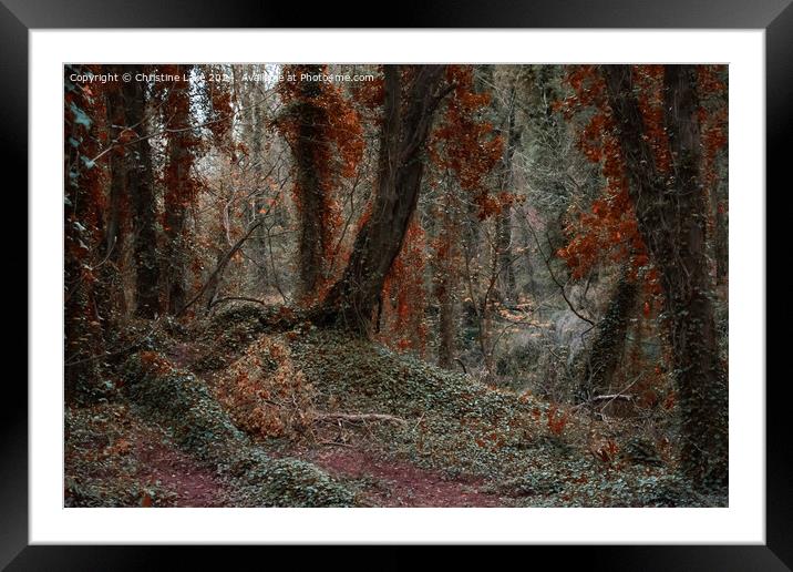 Twilight Forest Framed Mounted Print by Christine Lake
