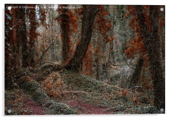 Twilight Forest Acrylic by Christine Lake