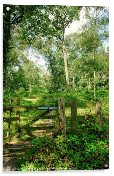 Tiptree Heath Woodlands Acrylic by Diana Mower