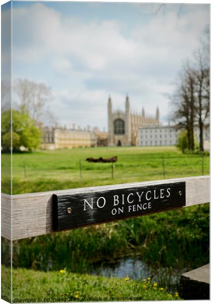 Summer at King's College Cambridge Canvas Print by Pip Young