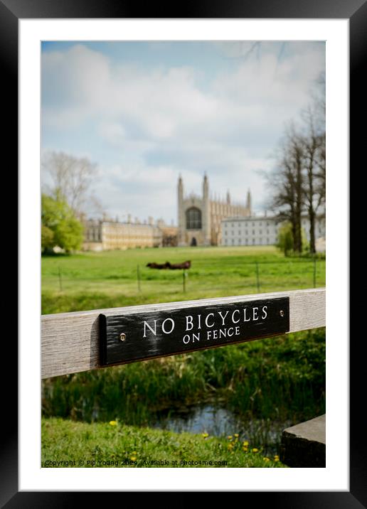 Summer at King's College Cambridge Framed Mounted Print by Pip Young
