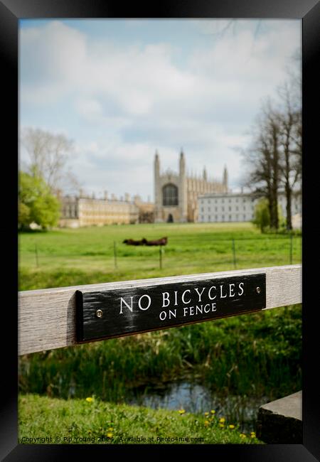 Summer at King's College Cambridge Framed Print by Pip Young