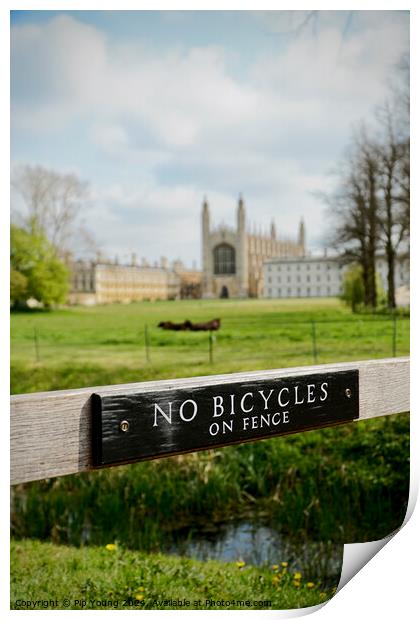 Summer at King's College Cambridge Print by Pip Young