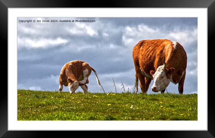 Sometimes all you need is a good scratch - Panorama Framed Mounted Print by Jim Jones