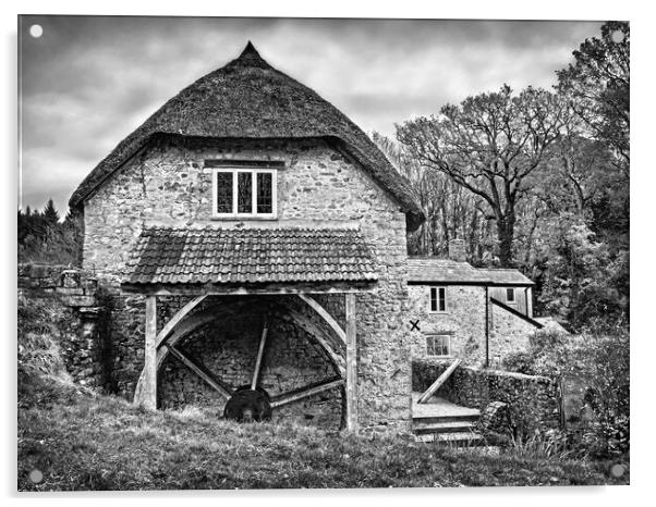 Uplyme Mill, Dorset Acrylic by Darren Galpin