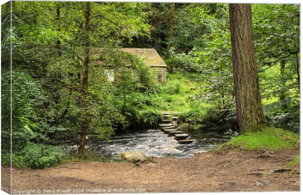 Hebden Beck Stepping Stones Canvas Print by Diana Mower