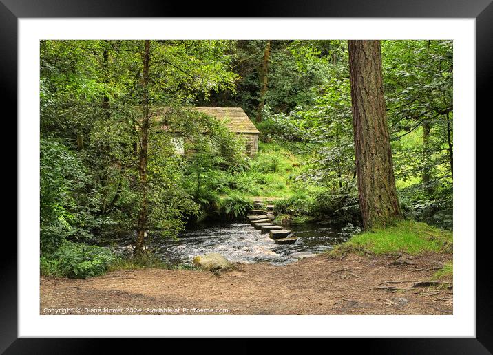 Hebden Beck Stepping Stones Framed Mounted Print by Diana Mower