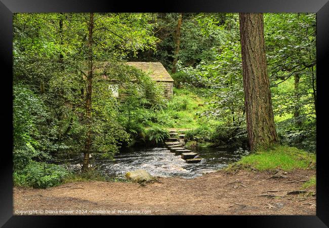 Hebden Beck Stepping Stones Framed Print by Diana Mower