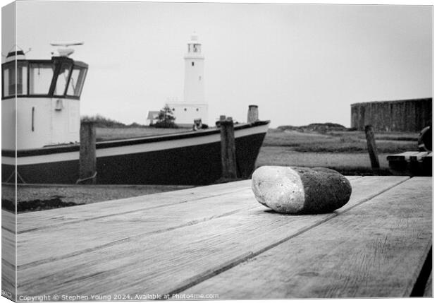 Rock on Bench Canvas Print by Stephen Young