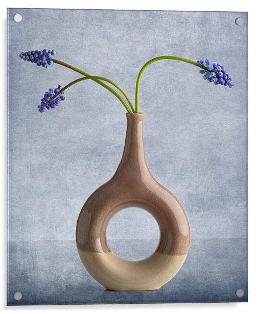 Muscari in vase Acrylic by Pam Sargeant