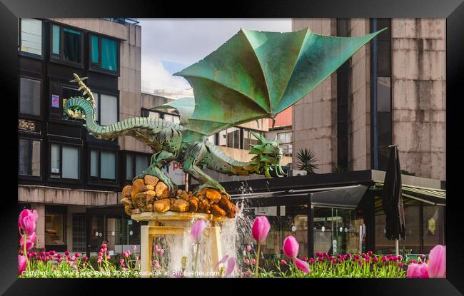 The Green Dragon fountain Braga Framed Print by Margaret Ryan