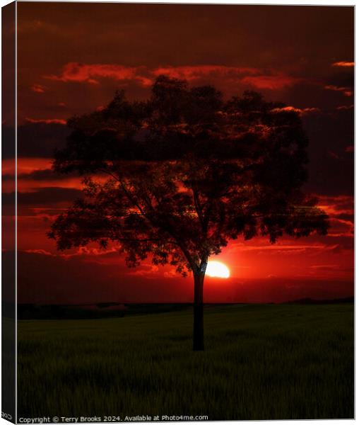Sunset behind a Lone Tree Canvas Print by Terry Brooks