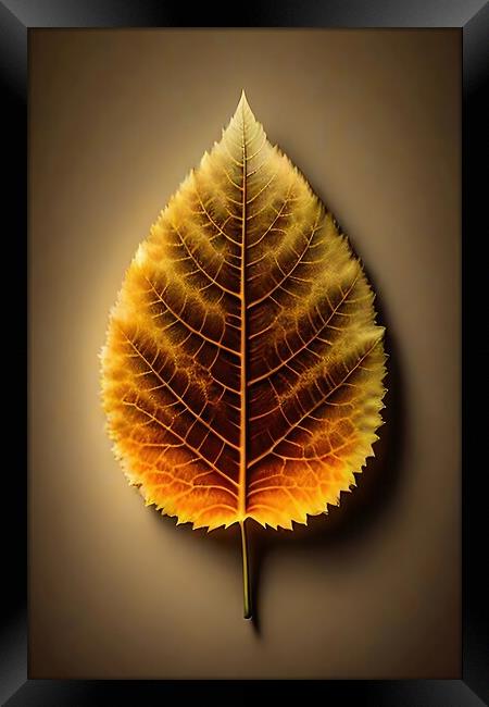 Autumn Leaf Framed Print by Anne Macdonald