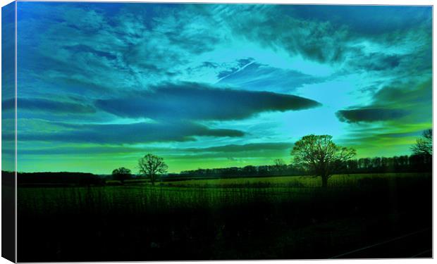 COUNTRYSIDE BLUES Canvas Print by Jacque Mckenzie