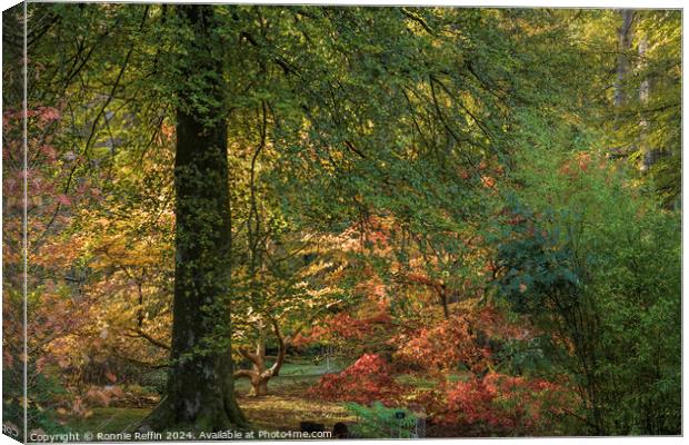 Autumn Colours Canvas Print by Ronnie Reffin