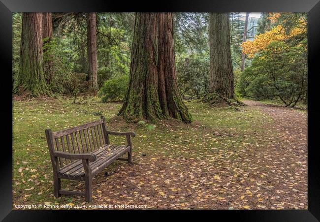 Take A Seat And Sit Awhile Framed Print by Ronnie Reffin