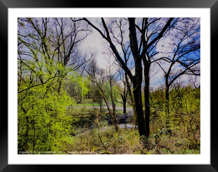 Spring Coming Framed Mounted Print by Ian Donaldson