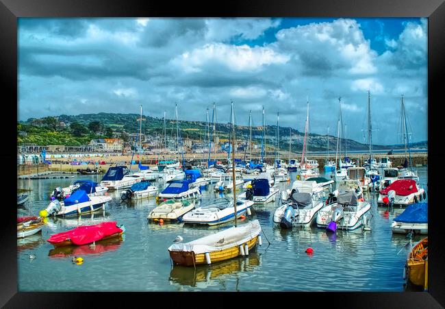 Lyme Regis Harbour Framed Print by Alison Chambers