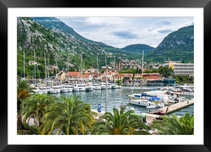 Yachts and boats in Kotar Marina, Montenegro Framed Mounted Print by Angus McComiskey