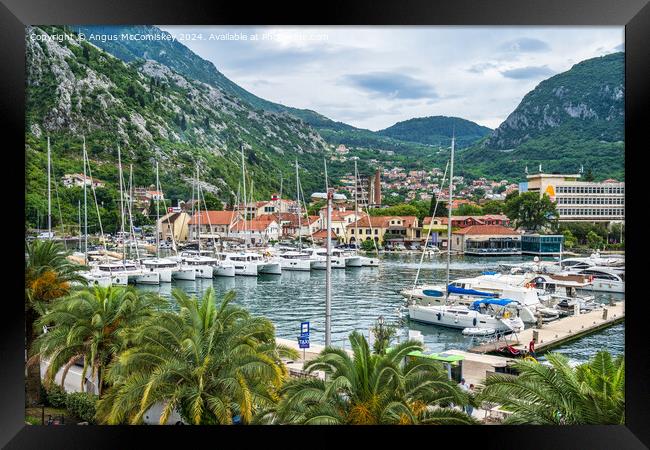 Yachts and boats in Kotar Marina, Montenegro Framed Print by Angus McComiskey