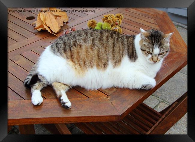 Tabby cat on a wooden table Framed Print by aurélie le moigne