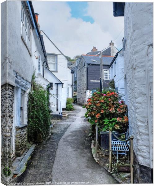 Port Isaac Back Street Canvas Print by Diana Mower