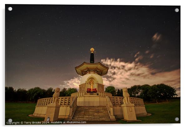 Peace Pagoda Night Sky Acrylic by Terry Brooks