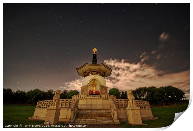 Peace Pagoda Night Sky Print by Terry Brooks