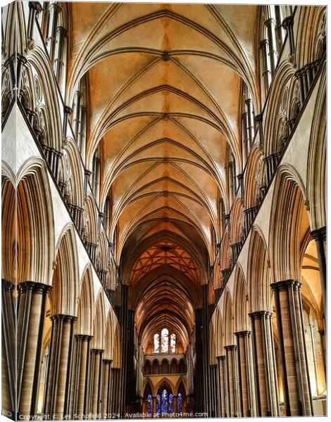 Salisbury cathedral  Canvas Print by Les Schofield
