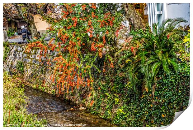 Orange Berries Fall Philosopher's Walk Canal Kyoto Japan Print by William Perry