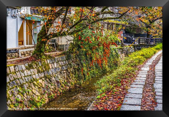 Orange Berries Fall Philosopher's Walk Canal Kyoto Japan Framed Print by William Perry