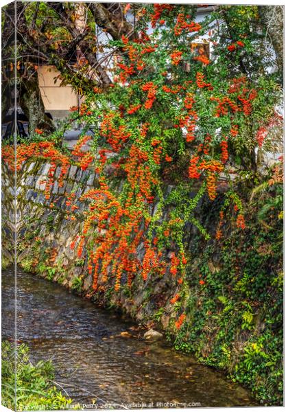 Orange Berries Fall Philosopher's Walk Canal Kyoto Japan Canvas Print by William Perry