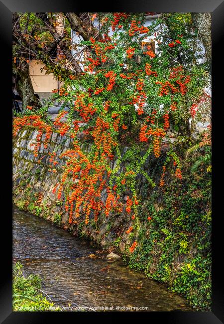 Orange Berries Fall Philosopher's Walk Canal Kyoto Japan Framed Print by William Perry