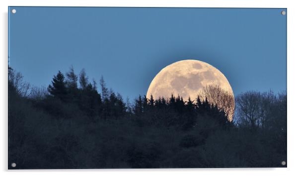 Full Moon rising Acrylic by Susan Snow