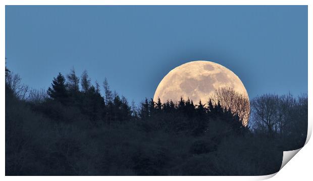 Full Moon rising Print by Susan Snow