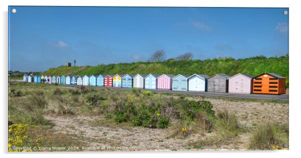 Pakefield Beach Huts Suffolk Acrylic by Diana Mower