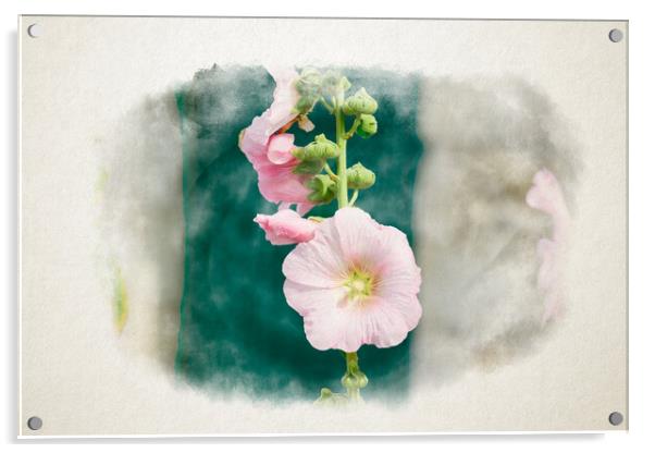 Closeup of a Hollyhock in watercolor Acrylic by youri Mahieu