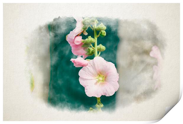 Closeup of a Hollyhock in watercolor Print by youri Mahieu