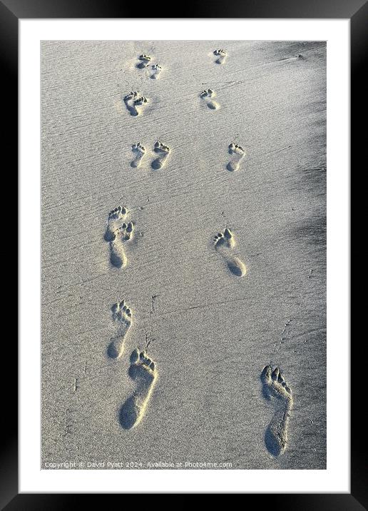 Caribbean Beach Footprints  Framed Mounted Print by David Pyatt