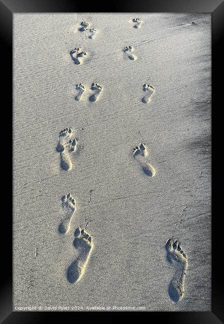 Caribbean Beach Footprints  Framed Print by David Pyatt