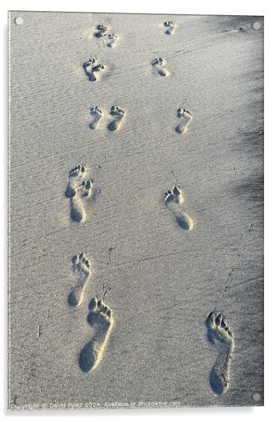 Caribbean Beach Footprints  Acrylic by David Pyatt