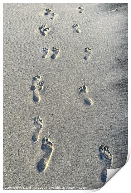 Caribbean Beach Footprints  Print by David Pyatt