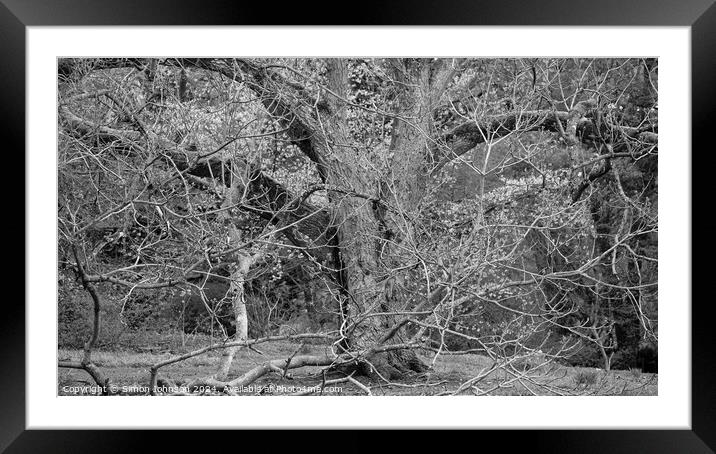 Form pattern and texture branches Framed Mounted Print by Simon Johnson