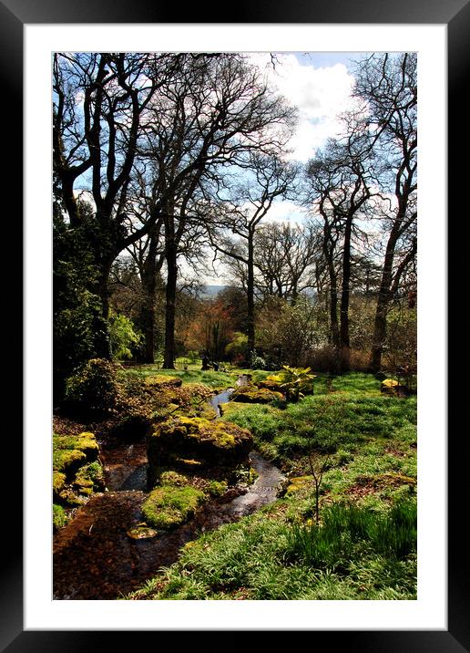 Batsford Arboretum Moreton In Marsh Cotswolds UK Framed Mounted Print by Andy Evans Photos