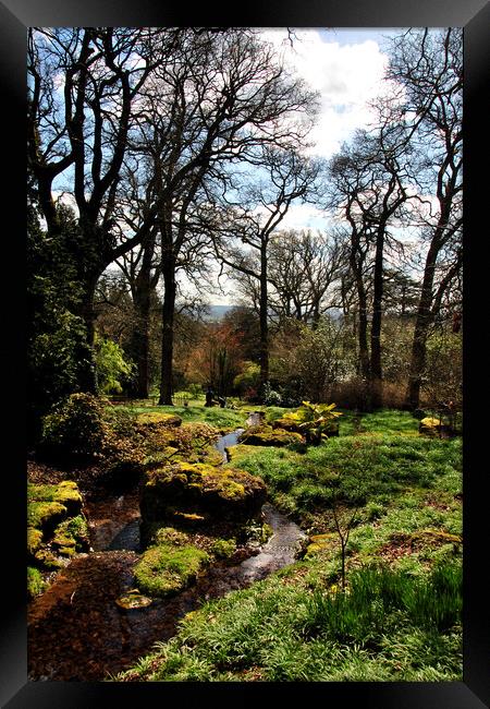 Batsford Arboretum Moreton In Marsh Cotswolds UK Framed Print by Andy Evans Photos
