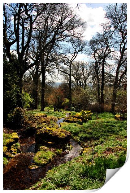 Batsford Arboretum Moreton In Marsh Cotswolds UK Print by Andy Evans Photos