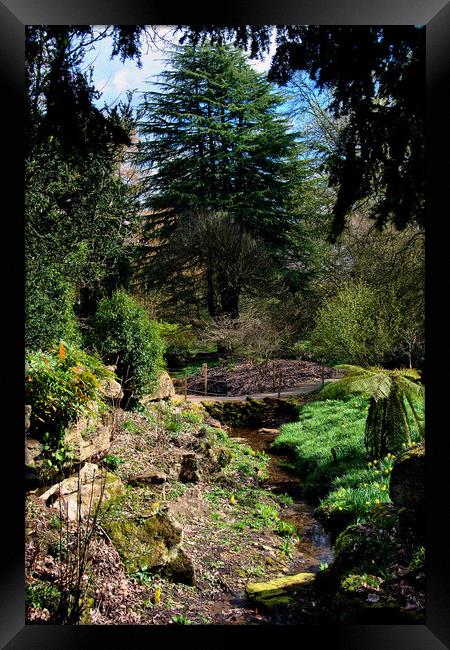 Batsford Arboretum Moreton In Marsh Cotswolds UK Framed Print by Andy Evans Photos