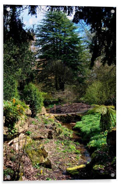Batsford Arboretum Moreton In Marsh Cotswolds UK Acrylic by Andy Evans Photos