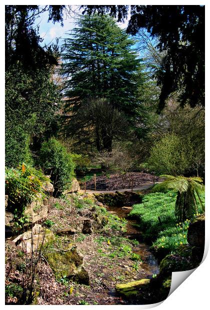 Batsford Arboretum Moreton In Marsh Cotswolds UK Print by Andy Evans Photos